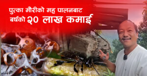 पुत्का मौरीको मह पालनबाट बर्षको २० लाख कमाई